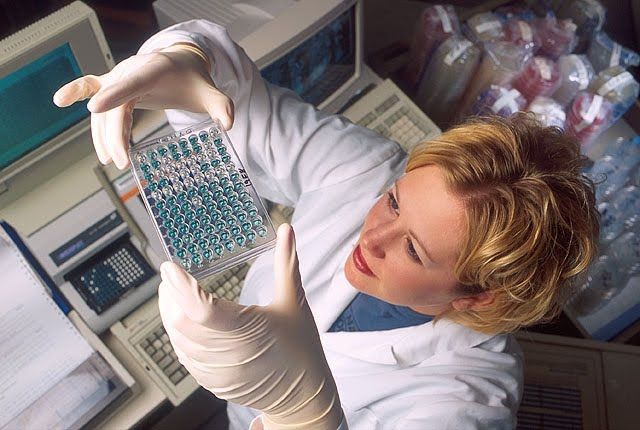 wpid-10538_ricerca.jpg