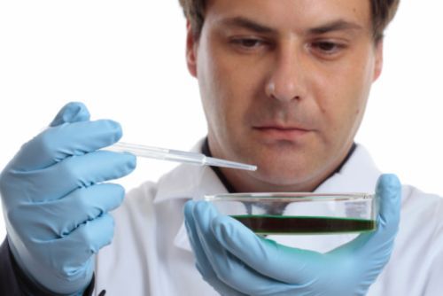 wpid-10600_alzheimer.jpg
