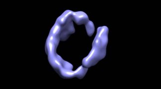 wpid-10717_proteinad.jpg