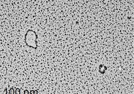 wpid-11155_dna.jpg