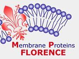 wpid-1363_membraneproteins.jpg