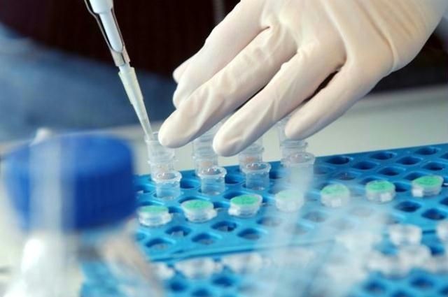 wpid-15335_biotecnologie.jpg