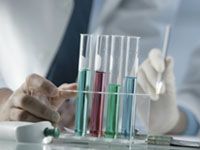 wpid-1554_labsicurezza.jpg
