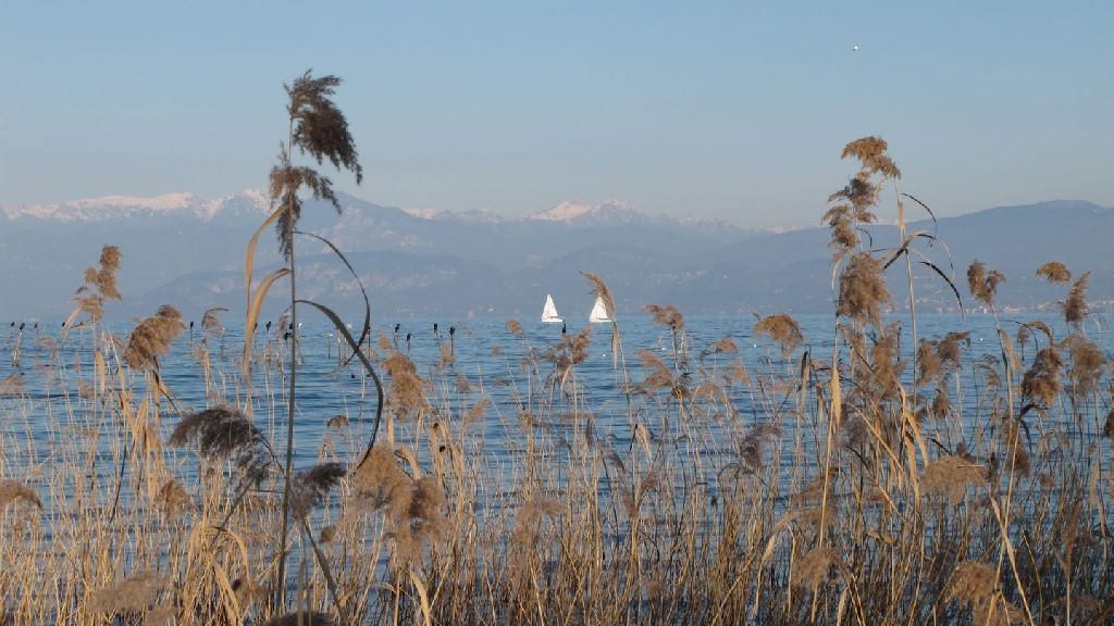 wpid-17973_lago.jpg