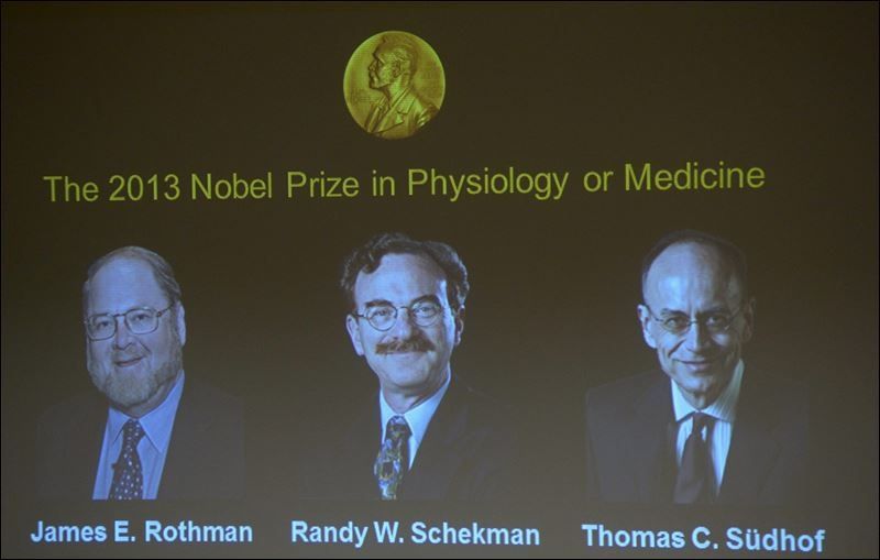 wpid-18688_nobelmedicina.jpg
