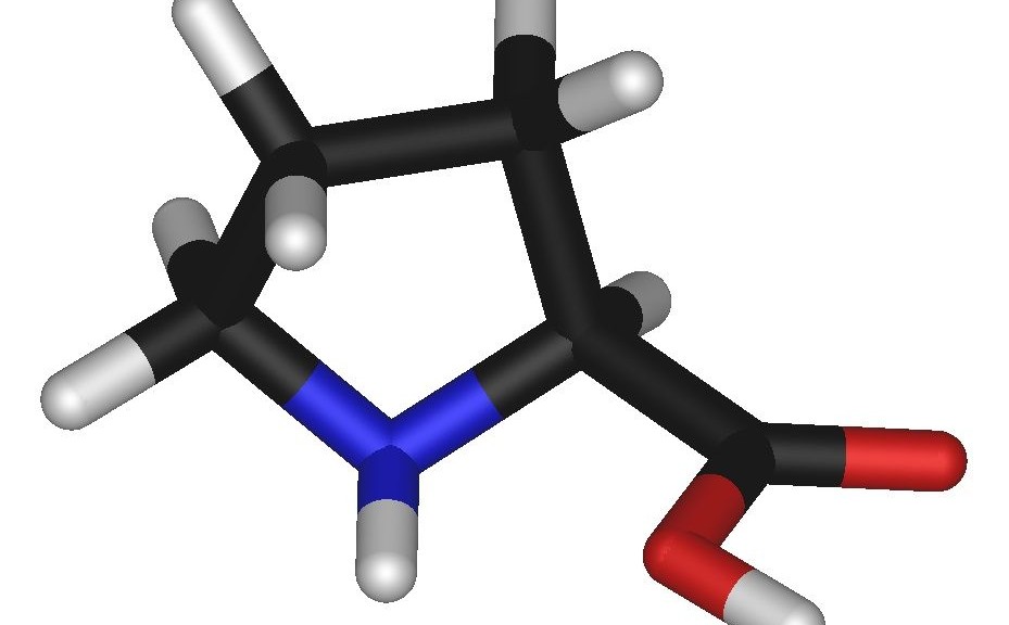 wpid-18872_Lproline.jpg