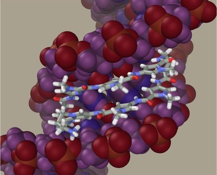 wpid-1993_cnr.jpg