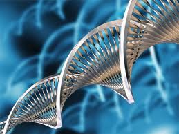 wpid-2031_bio.jpg