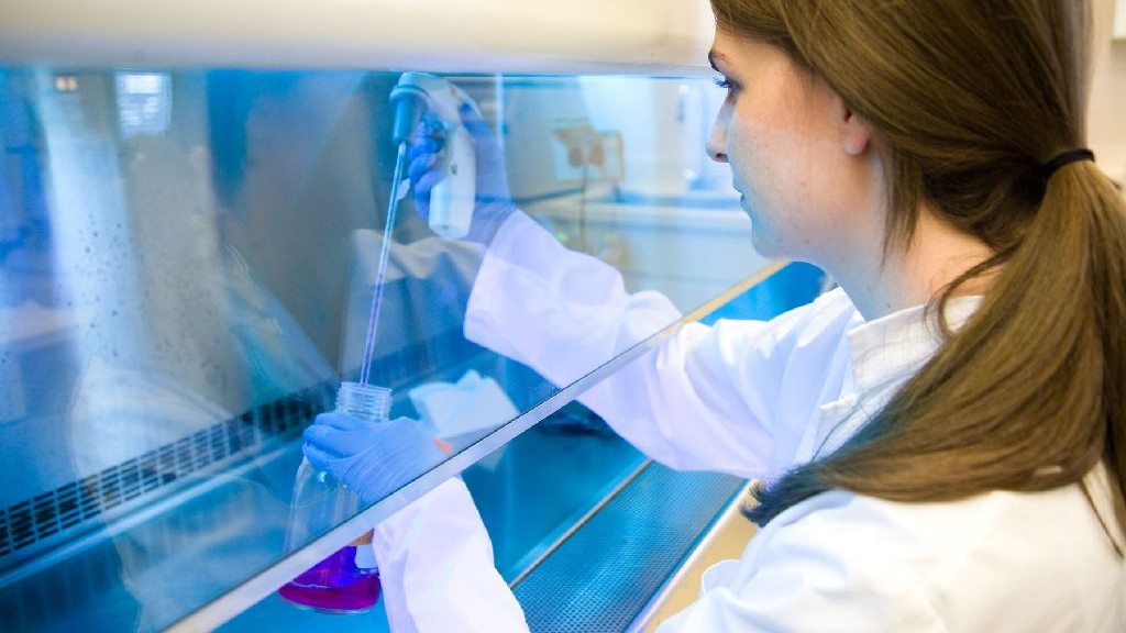 wpid-22214_biotecnologie.jpg