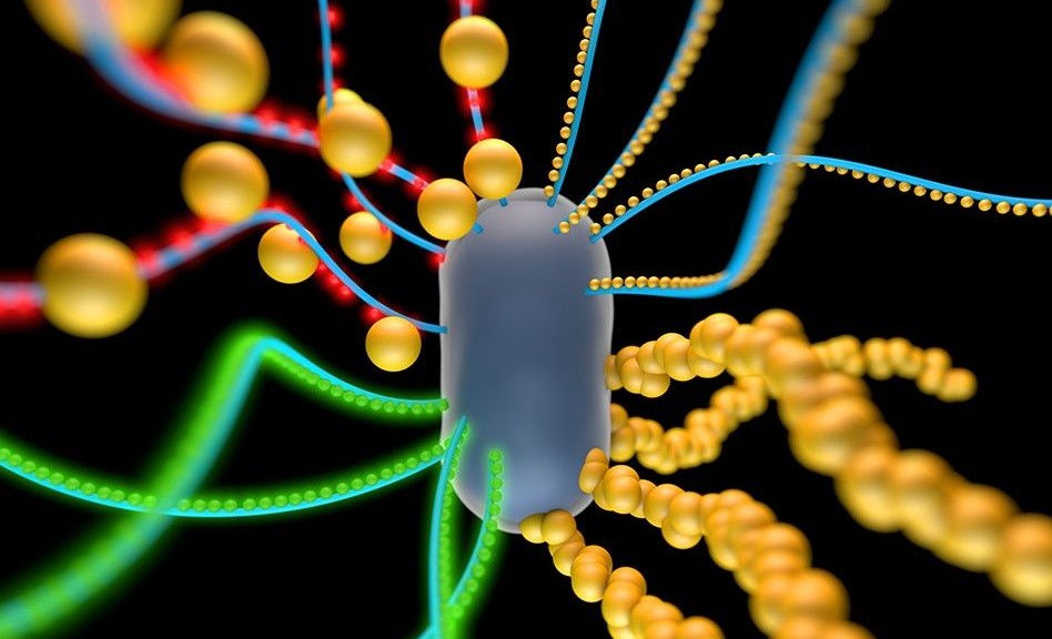 wpid-22364_nanomateriali.jpg