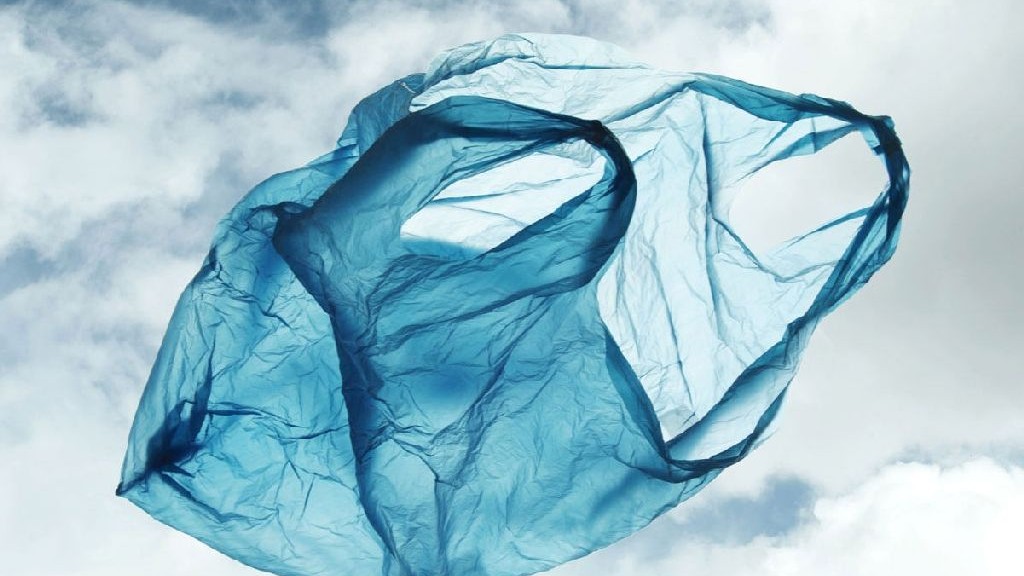 wpid-22472_sacchettoplastica.jpg