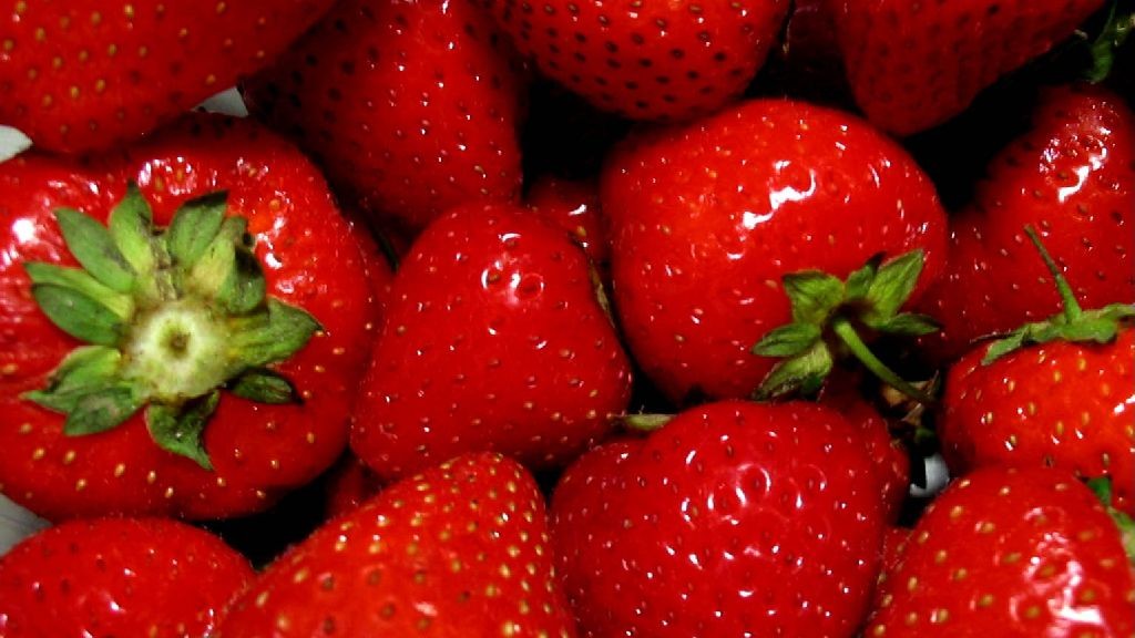 wpid-22749_fragola.jpg