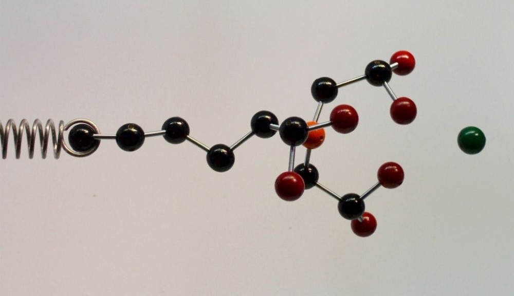 wpid-25156_legamichimici.jpg