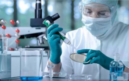 wpid-25303_biotecnologie.jpg