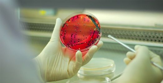 wpid-25321_proteina.jpg