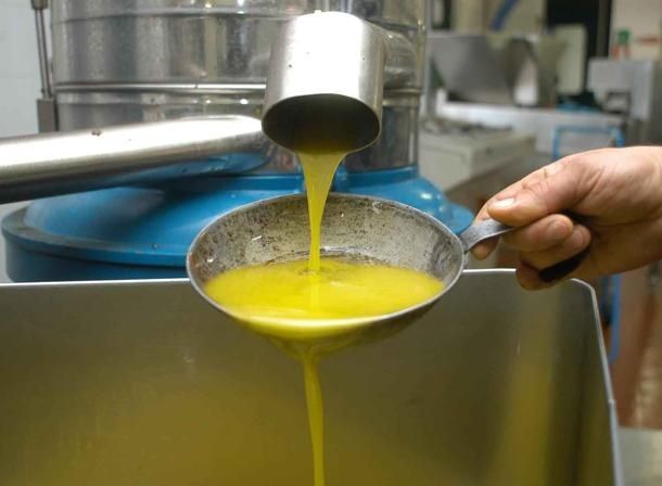 wpid-25612_olioextraverginedolivaUNdExUDMIx.jpg