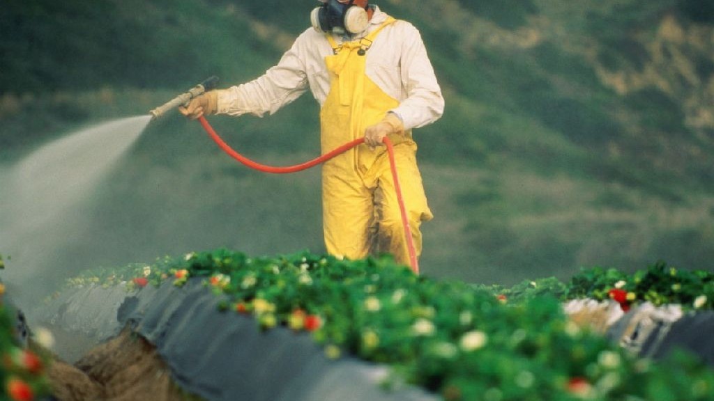 wpid-25647_pesticidi.jpg