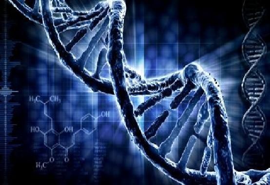 wpid-25683_DNA.jpg