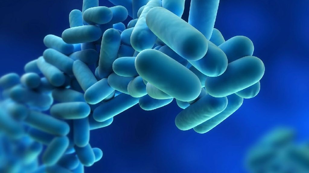 wpid-25708_legionella.jpg