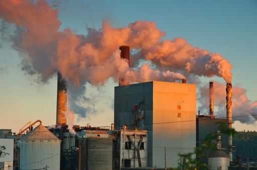 wpid-26198_cattivoodoreindustriale.jpg