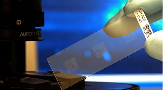 wpid-3099_bio.jpg