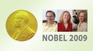 wpid-3423_nobel.jpg