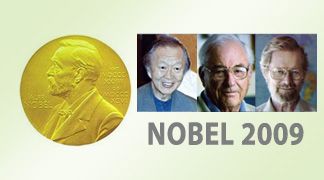 wpid-3427_nobel.jpg
