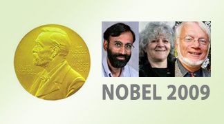 wpid-3434_nobel.jpg