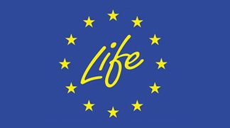 wpid-3697_life.jpg
