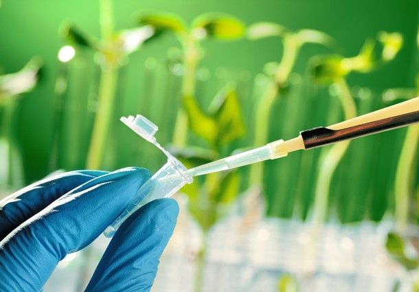wpid-3702_novamontbioqedx.jpg