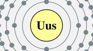 wpid-4462_uus.jpg