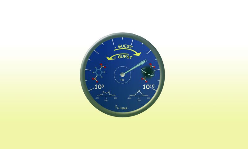 wpid-4666_g.jpg