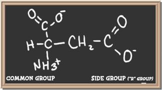 wpid-4730_acs.jpg