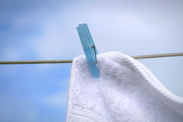 wpid-5939_nuovoclothesline.jpg