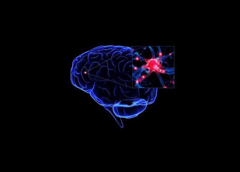 wpid-5985_nuovobrain.jpg