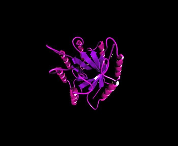 wpid-6066_nuovaProteinShop.jpg