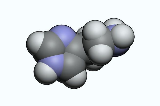 wpid-8515_molecola.jpg