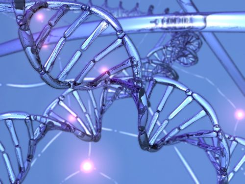 wpid-8647_DNA.jpg