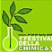 wpid-chimica_verde.jpg