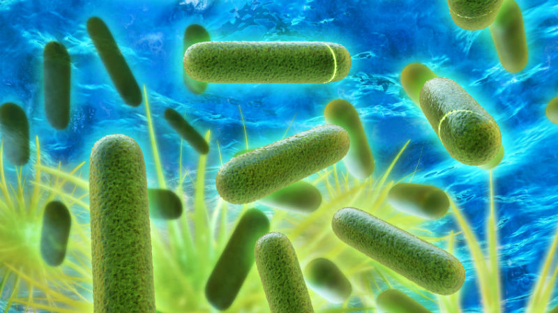 legionella