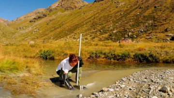 Pesticidi ammessi in agricoltura biologica: che effetto hanno sull’acqua?