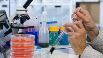 Sostanze chimiche pericolose: pubblicate le sanzioni per violazioni su esportazione ed importazione